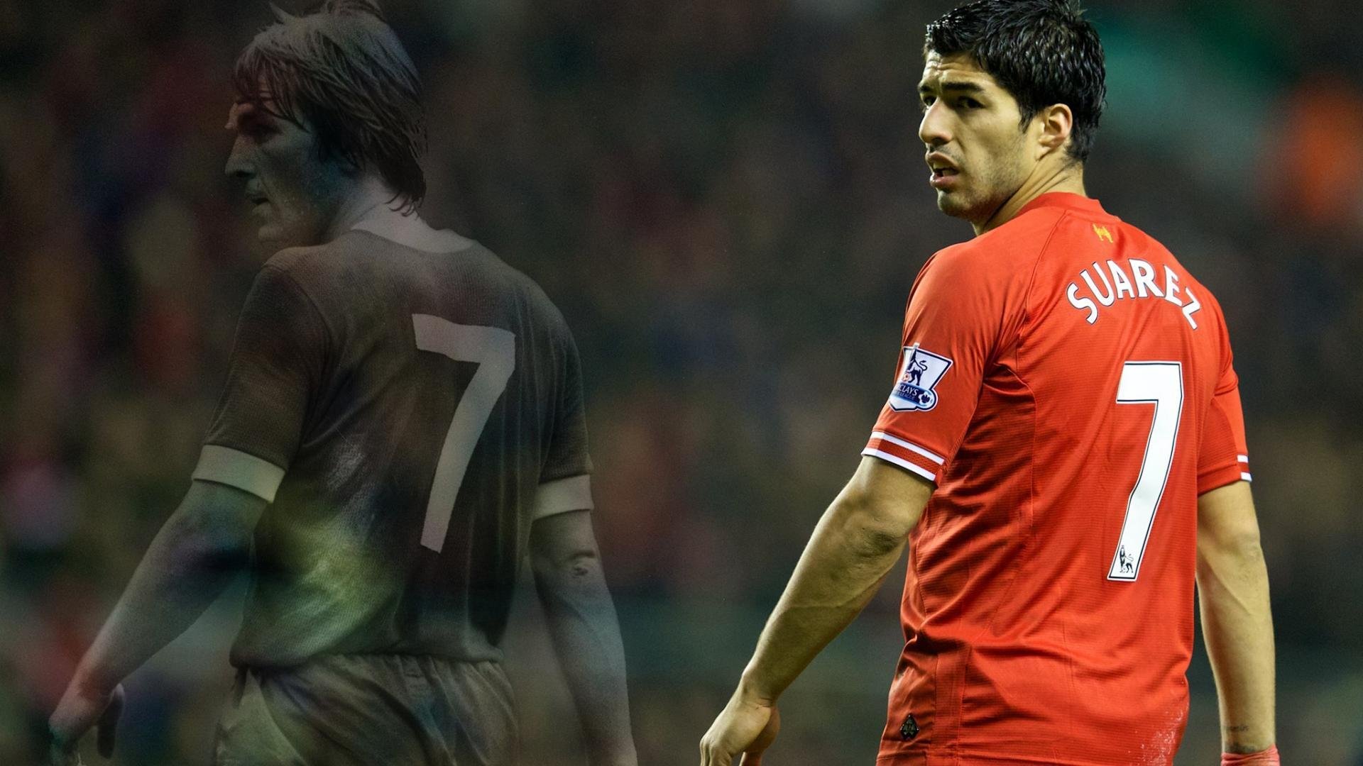 澳大利亚自由泳王牌又一经典之作，澳大利亚自由泳运动员