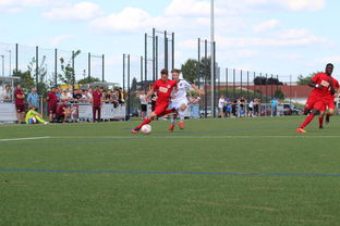 爱游戏平台-荷兰队在国际赛场持续强势，晋级形势良好